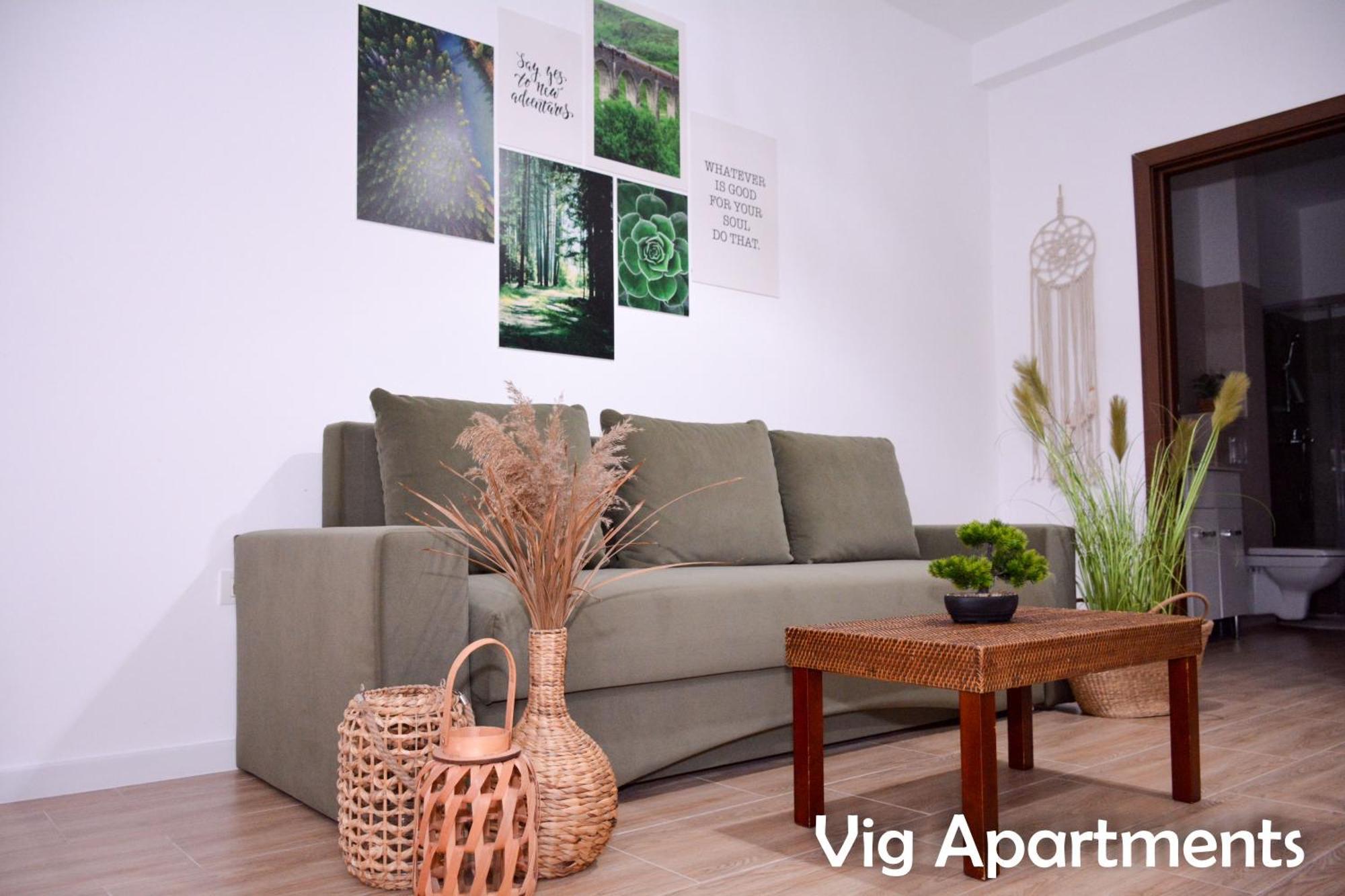 Vig Apartments Timisoara Exterior foto