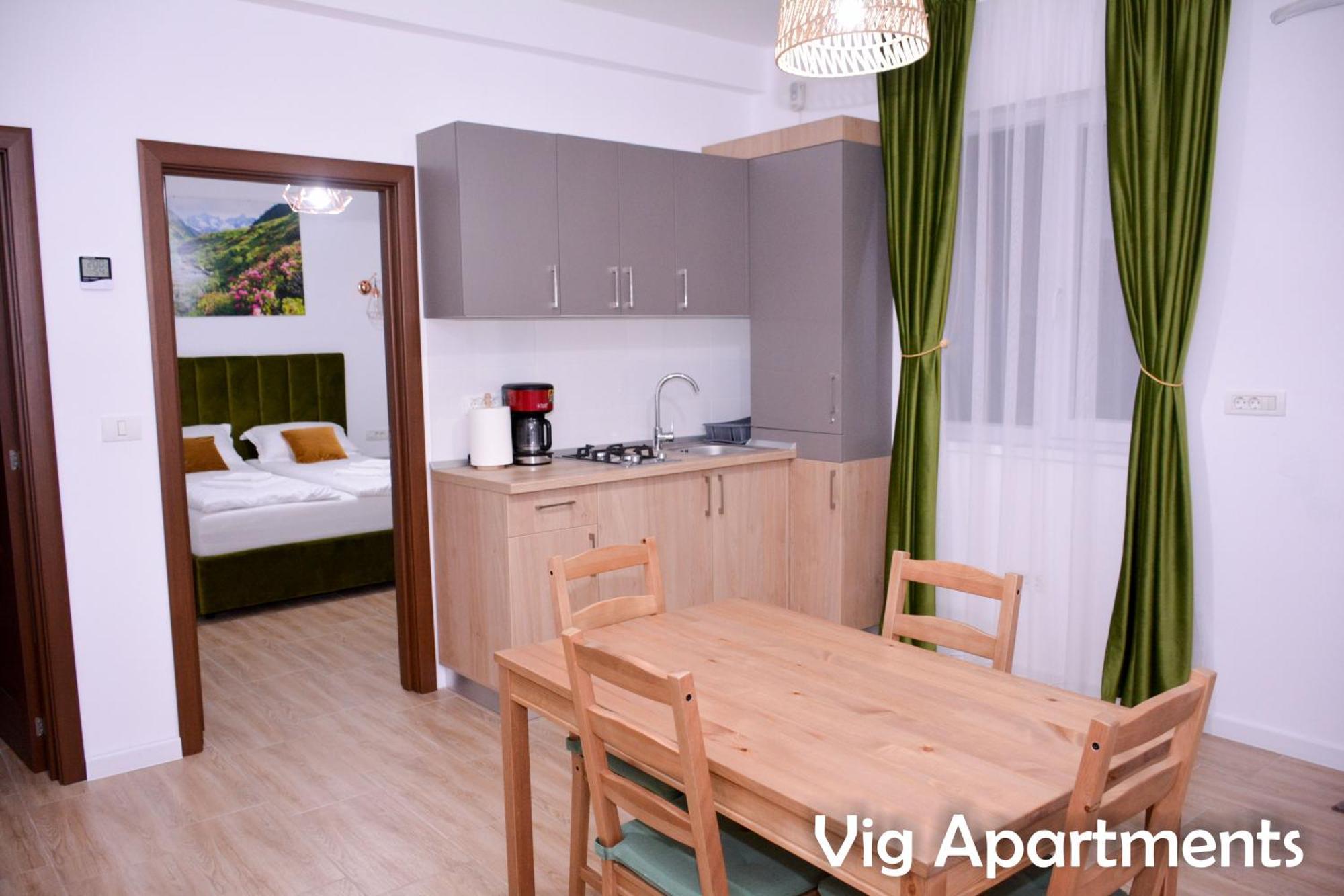Vig Apartments Timisoara Exterior foto