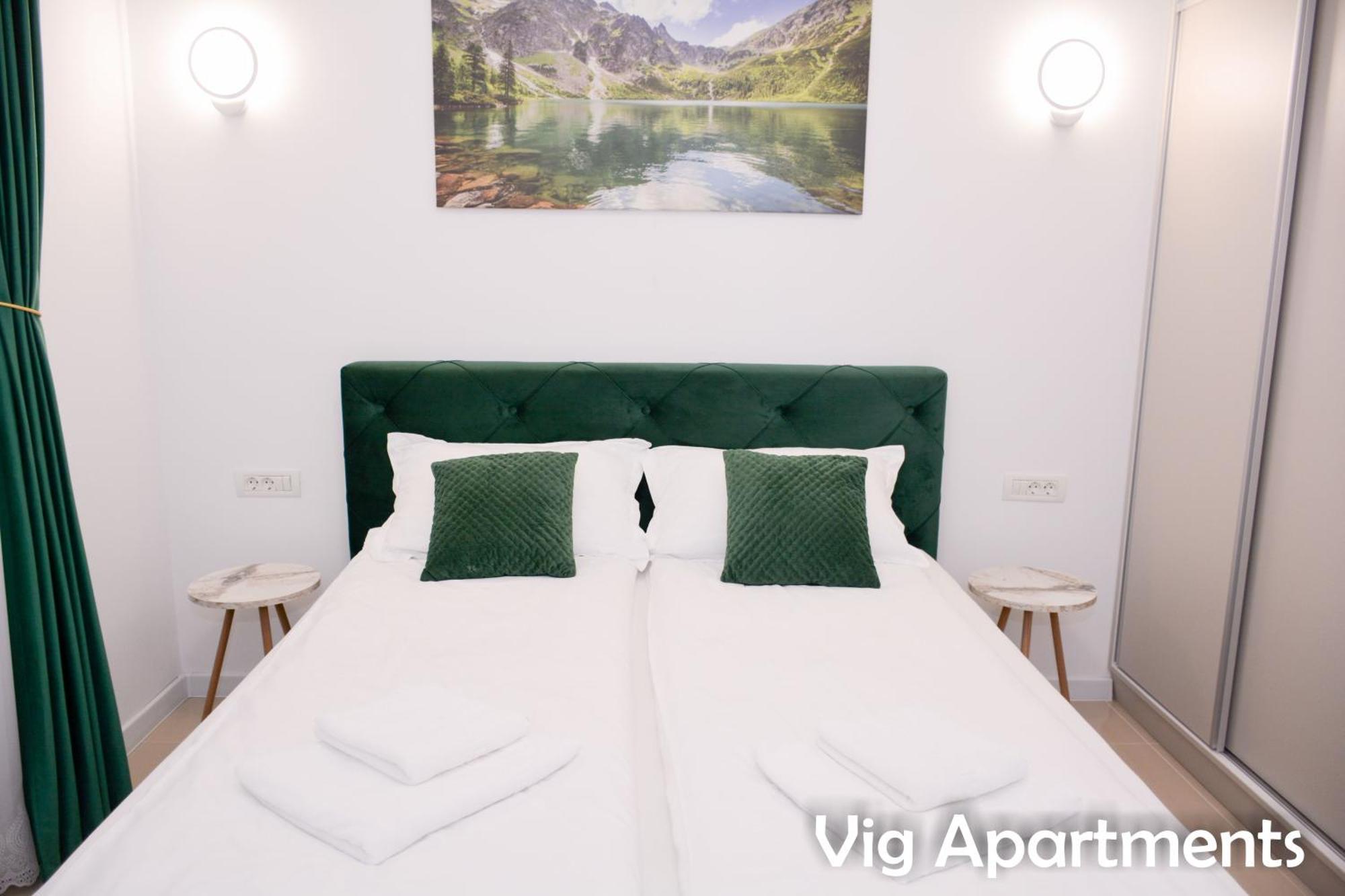 Vig Apartments Timisoara Exterior foto