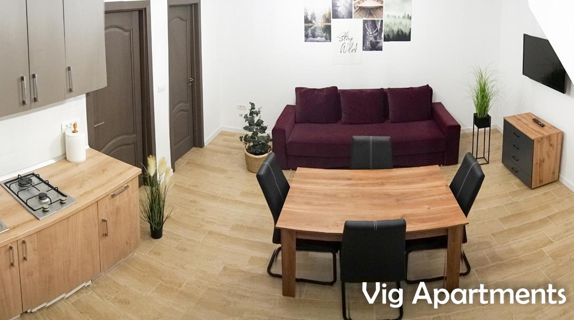 Vig Apartments Timisoara Exterior foto